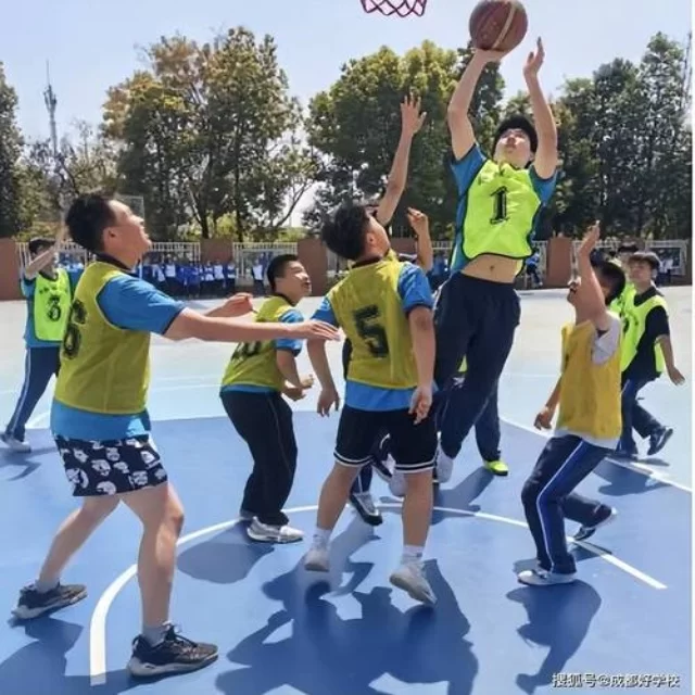 数据视角下体育新闻热点追踪的深度解析